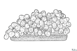 grapes Coloring Pages To Print